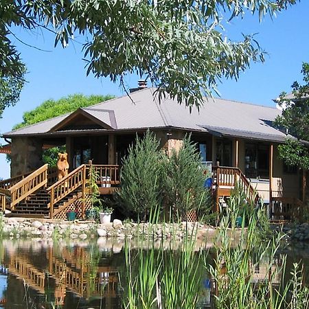 Starry Nights Ranch Bed & Breakfast Mancos Ngoại thất bức ảnh