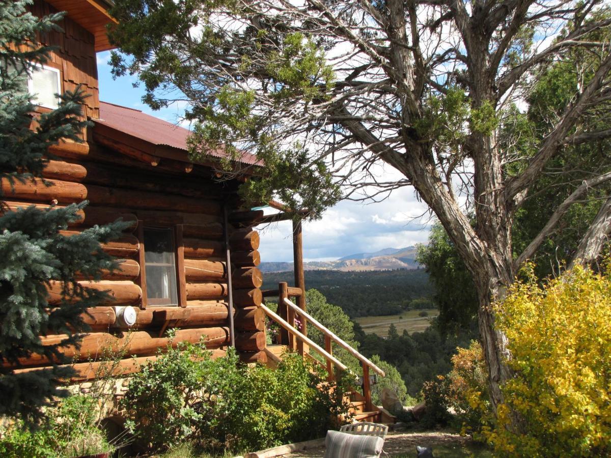 Starry Nights Ranch Bed & Breakfast Mancos Ngoại thất bức ảnh